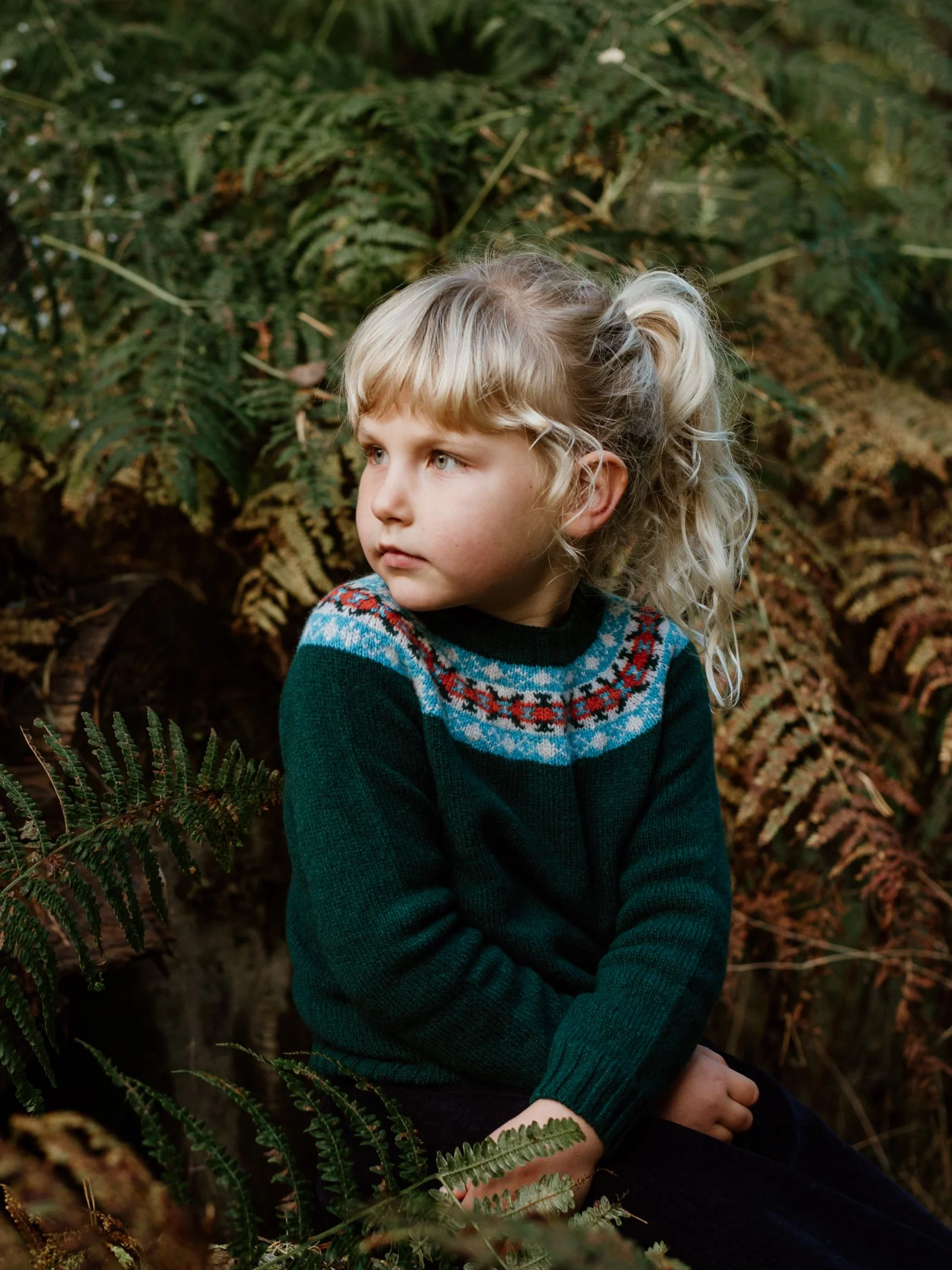 Auld Stock Mini Fairisle Crew Jumper - Image 3