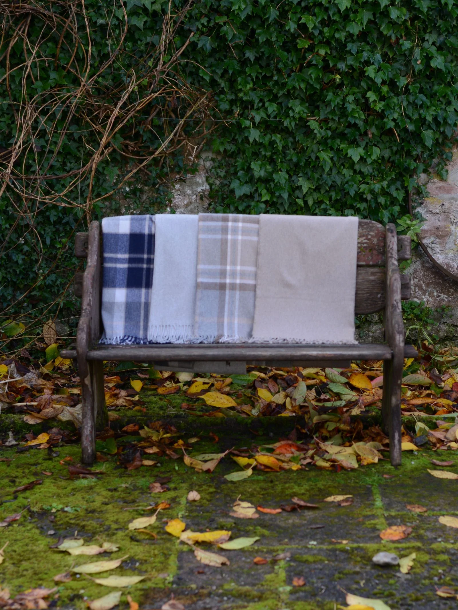 Cashmere Stole - Image 8