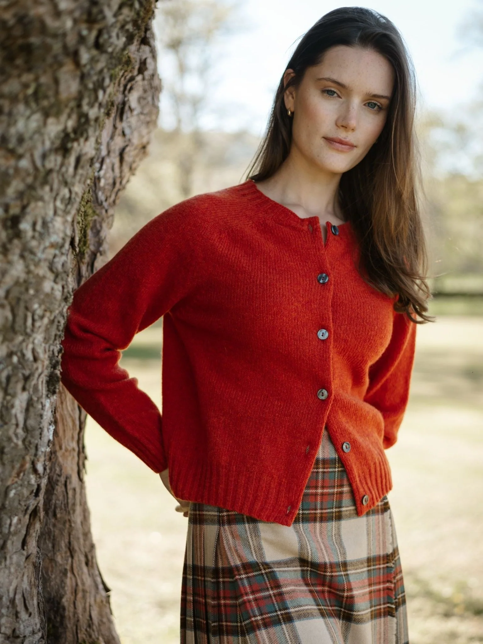 Shetland Cropped Cardigan - Image 6